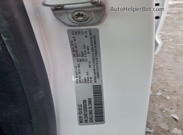 2C4RC1CG5SR607856 2025 CHRYSLER VOYAGER White Widok naklejki z numerem VIN