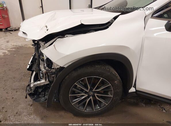 2T2ACCAZ1TC001013 2026 LEXUS NX 350H White წინა ხედი