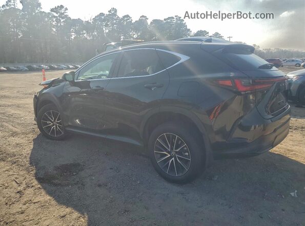 2T2ADCAZ0RC011991 2024 LEXUS NX Black Задня ліва чверть