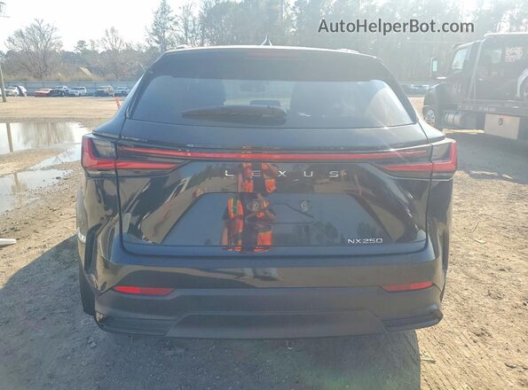 2T2ADCAZ0RC011991 2024 LEXUS NX Black Вид ззаду