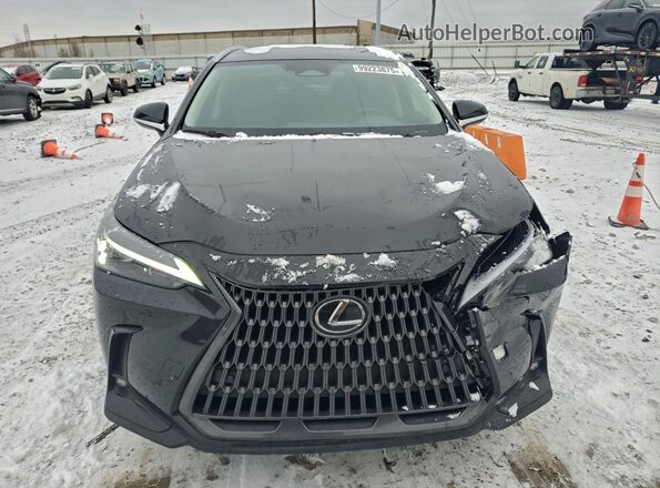 2T2ADCAZ2SC022979 2025 LEXUS NX Black 