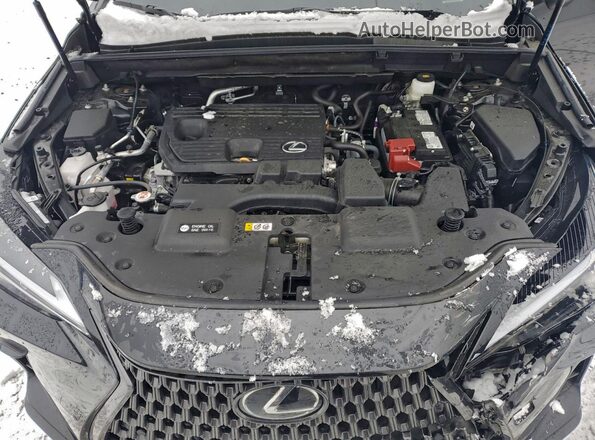 2T2ADCAZ2SC022979 2025 LEXUS NX Black 