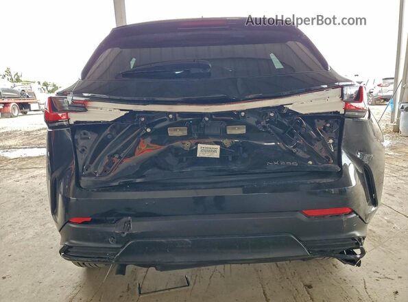 2T2ADCAZ5RC015048 2024 LEXUS NX Black Rear view