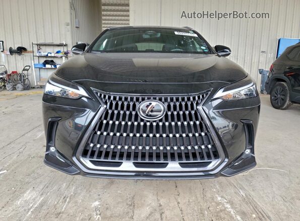 2T2ADCAZ5RC015048 2024 LEXUS NX Black Front view