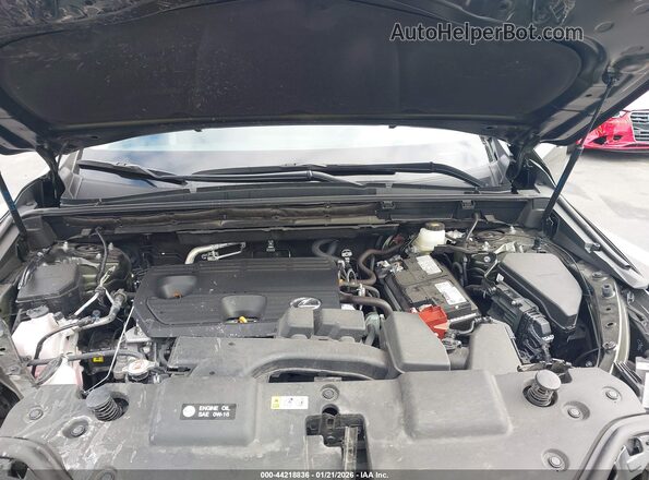 2T2ADCAZ5SC019011 2025 LEXUS NX 250 Green უკანა ხედი