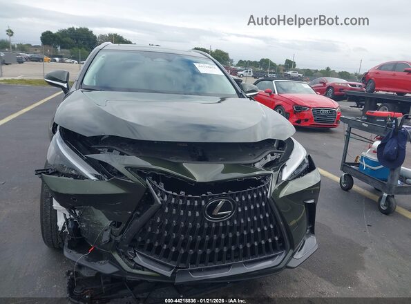 2T2ADCAZ5SC019011 2025 LEXUS NX 250 Green უკანა სალონის ხედი