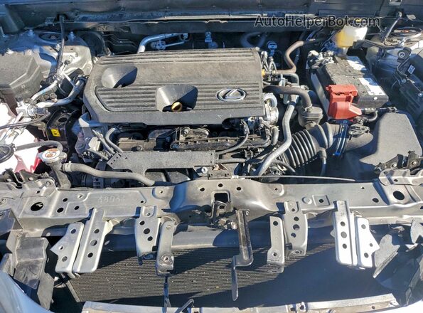 2T2ADCAZ6RC007525 2024 LEXUS NX Tan ძრავის განყოფილების ხედი