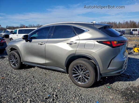 2T2ADCAZ6RC007525 2024 LEXUS NX Tan უკანა მარცხენა