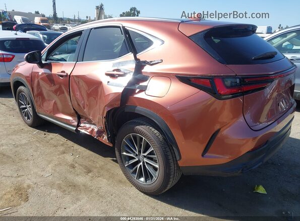 2T2ADCAZ6SC029983 2025 LEXUS NX 250 Maroon Задня ліва чверть