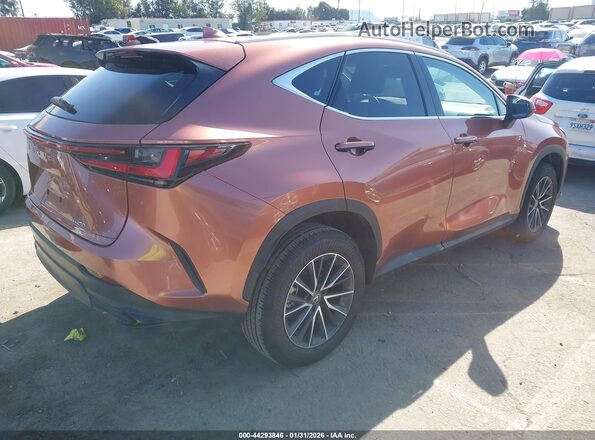 2T2ADCAZ6SC029983 2025 LEXUS NX 250 Maroon Задня права чверть