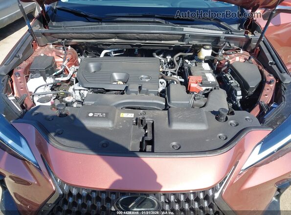 2T2ADCAZ6SC029983 2025 LEXUS NX 250 Maroon Вид ззаду