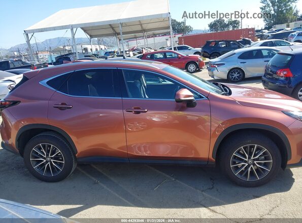 2T2ADCAZ6SC029983 2025 LEXUS NX 250 Maroon Панорамний вид салону 360°