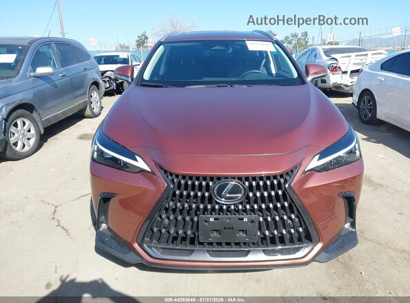 2T2ADCAZ6SC029983 2025 LEXUS NX 250 Maroon Вид задньої частини салону