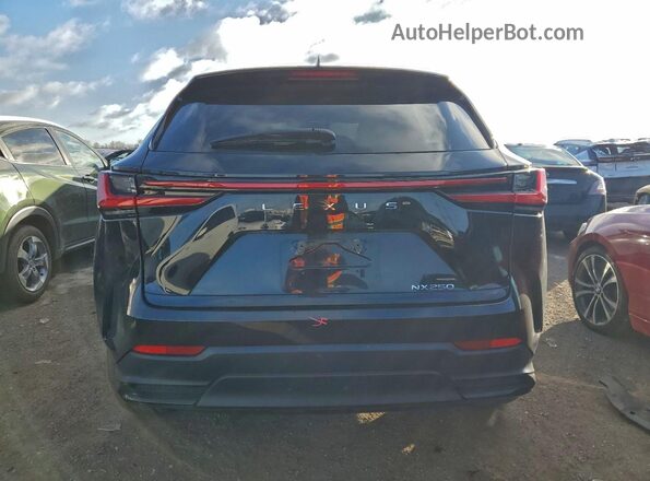 2T2ADCAZ8NC002336 2022 LEXUS NX Черный Вид сзади
