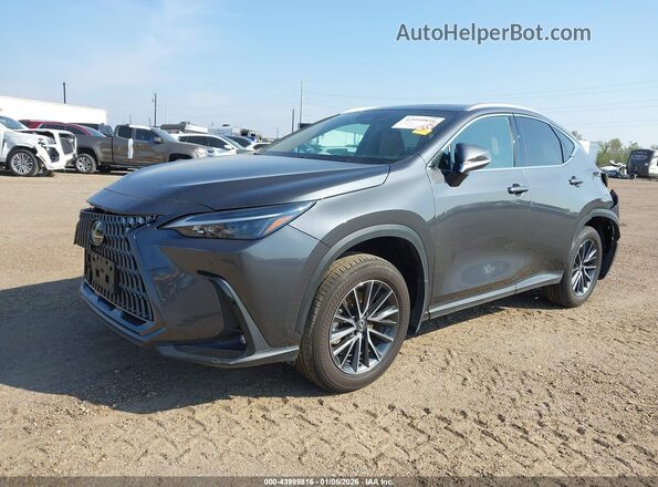 2T2ADCAZ8SC022565 2025 LEXUS NX 250 Gray Przód lewy