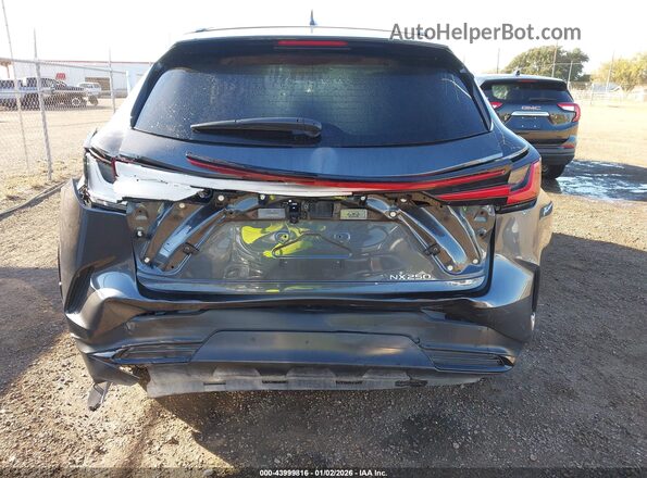 2T2ADCAZ8SC022565 2025 LEXUS NX 250 Gray 