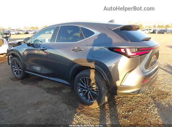 2T2ADCAZXSC027055 2025 LEXUS NX 250 Gray Հետևի ձախ