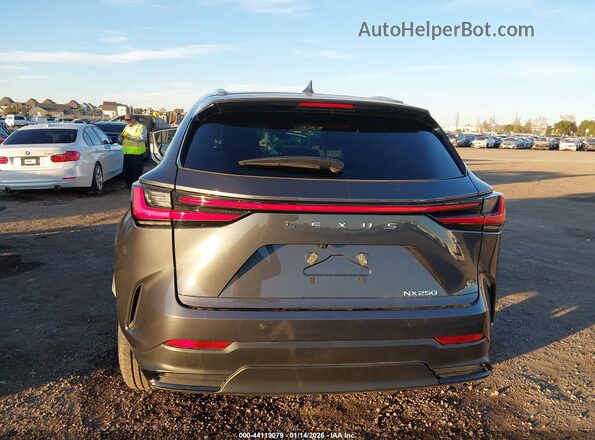 2T2ADCAZXSC027055 2025 LEXUS NX 250 Gray 