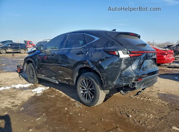 2T2ADCEZ6PC003014 2023 LEXUS NX Black 
