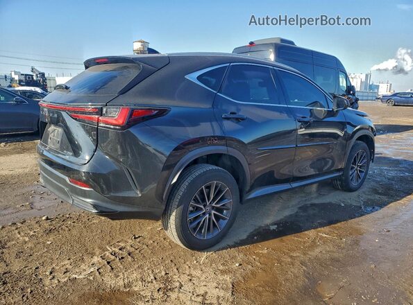 2T2ADCEZ6PC003014 2023 LEXUS NX Black 