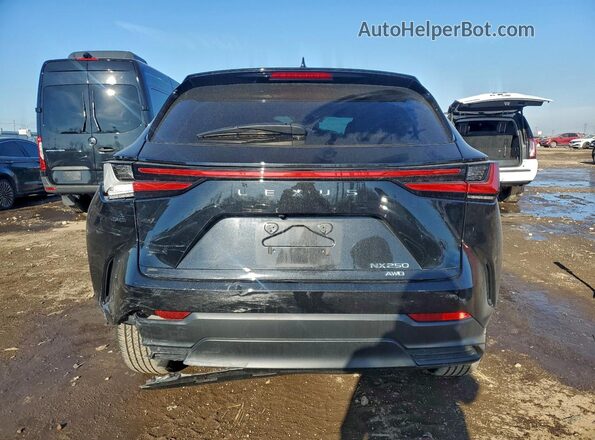 2T2ADCEZ6PC003014 2023 LEXUS NX Black 