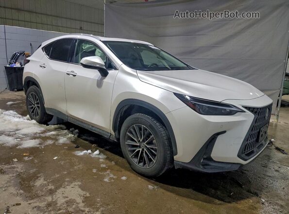 2T2AGCEZ1SC062228 2025 LEXUS NX White Front right