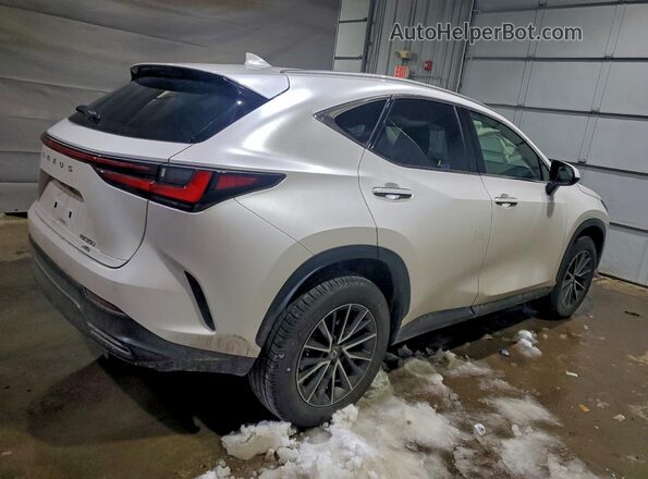 2T2AGCEZ1SC062228 2025 LEXUS NX White Rear right