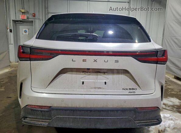 2T2AGCEZ1SC062228 2025 LEXUS NX White Rear view