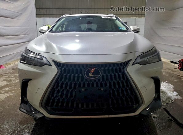2T2AGCEZ1SC062228 2025 LEXUS NX White Front view