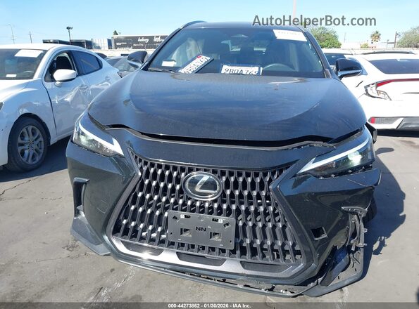2T2AGCEZ2NC002737 2022 LEXUS NX 350 Черный Вид задней части салона