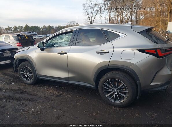 2T2AGCEZ2NC011261 2022 LEXUS NX 350 Champagne Սալոնի 360 աստիճան տեսք