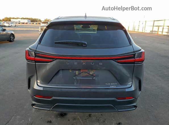 2T2AGCEZ7TC104810 2026 LEXUS NX Gray Հետևի տեսք