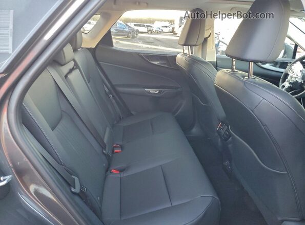 2T2AGCEZ7TC104810 2026 LEXUS NX Gray Սալոնի հետևի տեսք
