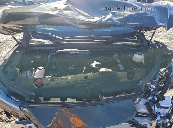 2T2BAMCA1RC088010 2024 LEXUS RX Green Вид задньої частини салону