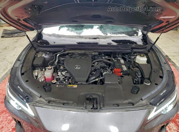 2T2BAMCA7PC028245 2023 LEXUS RX Gray Vista del compartimento del motor