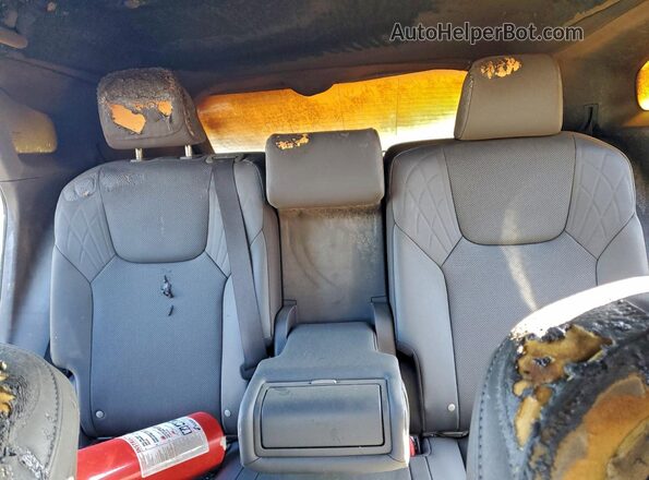 2T2BAMCA7SC090480 2025 LEXUS RX Silver Vista de los asientos traseros