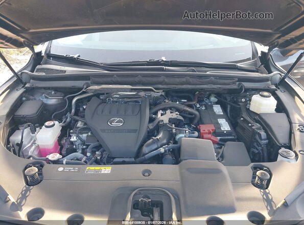 2T2BAMCA9RC054879 2024 LEXUS RX 350 Gray Вид ззаду