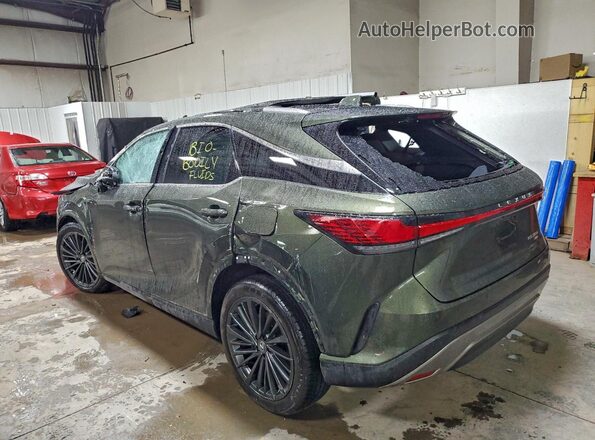 2T2BAMCAXSC097147 2025 LEXUS RX Green 
