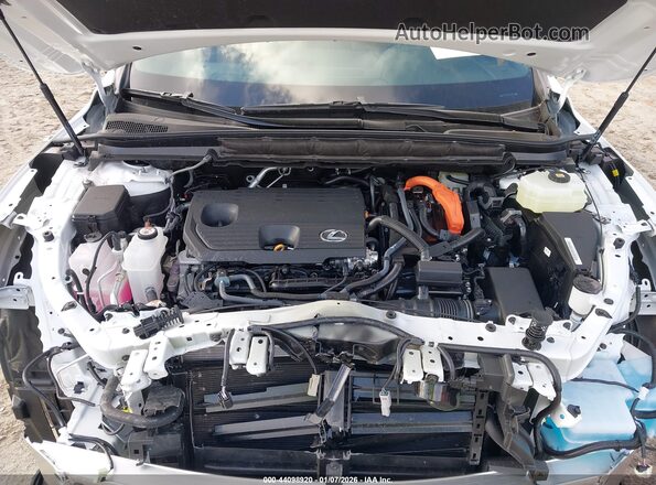 2T2BBMCA1TC105537 2026 LEXUS RX White 