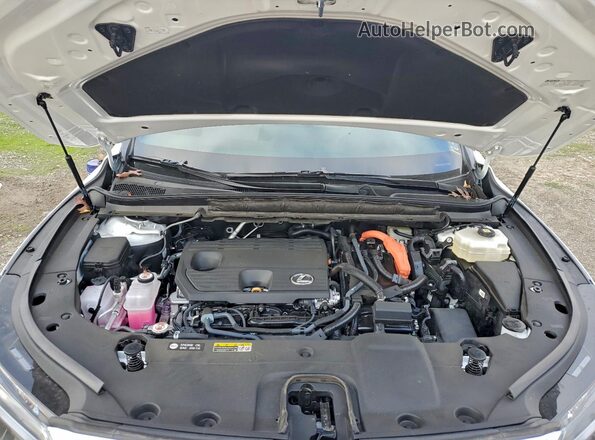 2T2BBMCA8SC087438 2025 LEXUS RX White 