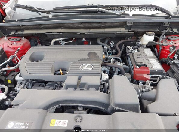 2T2GDCAZ1RC013842 2024 LEXUS NX 250 Red Vista trasera