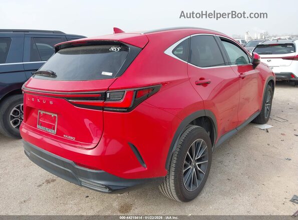 2T2GDCAZ1RC013842 2024 LEXUS NX 250 Red Trasero derecho