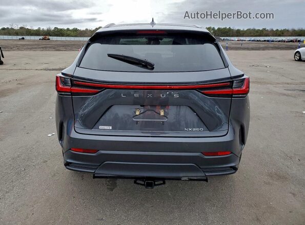 2T2GDCAZ4PC004016 2023 LEXUS NX Charcoal Rear view