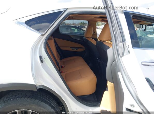 2T2GDCAZ4RC012085 2024 LEXUS NX 250 White Вид наклейки з VIN-кодом
