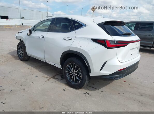 2T2GDCAZ4RC012085 2024 LEXUS NX 250 White Задня ліва чверть