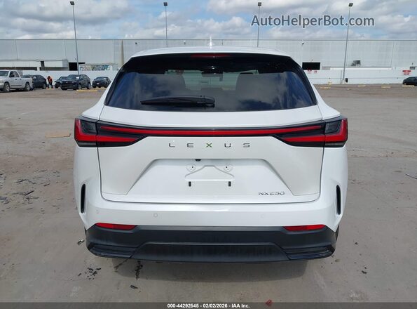 2T2GDCAZ4RC012085 2024 LEXUS NX 250 White 