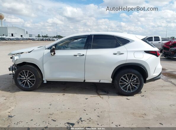 2T2GDCAZ4RC012085 2024 LEXUS NX 250 White Панорамний вид салону 360°
