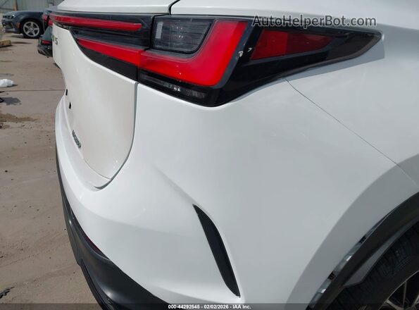 2T2GDCAZ4RC012085 2024 LEXUS NX 250 White 