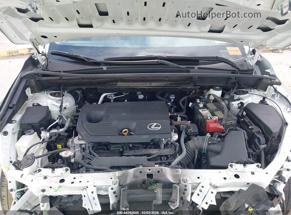 2T2GDCAZ4RC012085 2024 LEXUS NX 250 White Вид ззаду