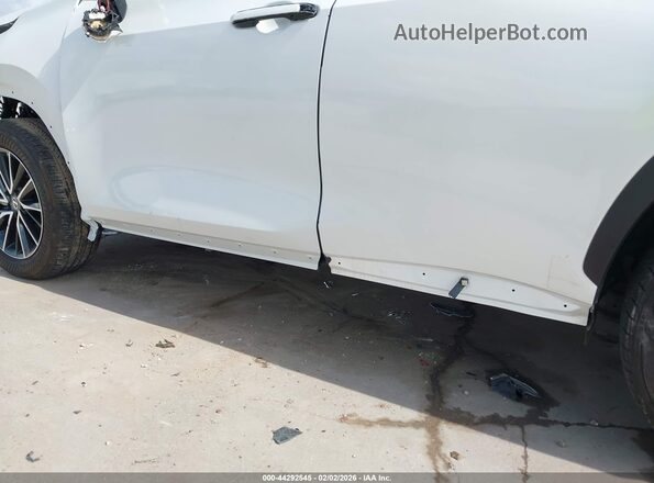 2T2GDCAZ4RC012085 2024 LEXUS NX 250 White 
